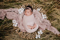 Lena Walther Newborn