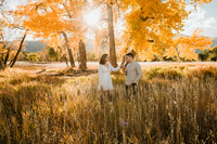 Izzy & Vaughn Engagement